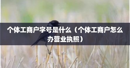 个体工商户字号是什么（个体工商户怎么办营业执照）