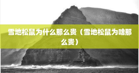 雪地松鼠为什么那么贵（雪地松鼠为啥那么贵）