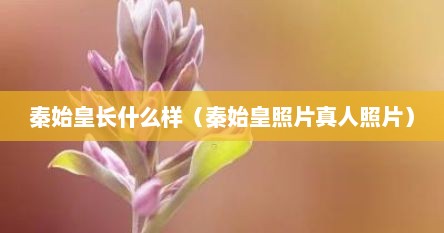 秦始皇长什么样（秦始皇照片真人照片）