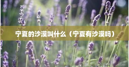 宁夏的沙漠叫什么（宁夏有沙漠吗）