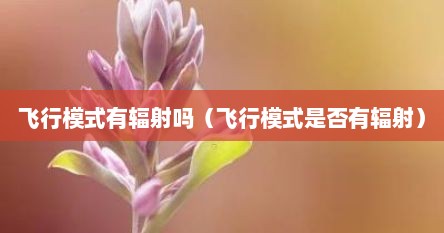 飞行模式有辐射吗（飞行模式是否有辐射）
