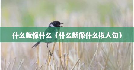 什么就像什么（什么就像什么拟人句）