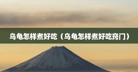 乌龟怎样煮好吃（乌龟怎样煮好吃窍门）