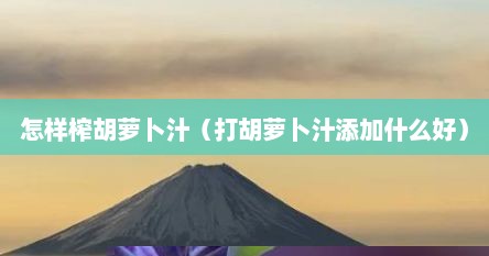 如何榨胡萝卜汁好喝（怎样榨胡萝卜汁好喝）