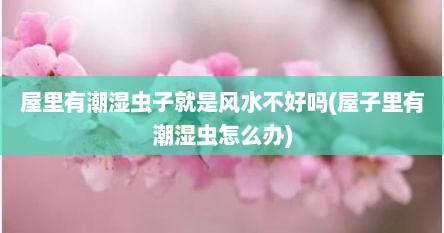 屋里有潮湿虫子就是风水不好吗(屋子里有潮湿虫怎么办)