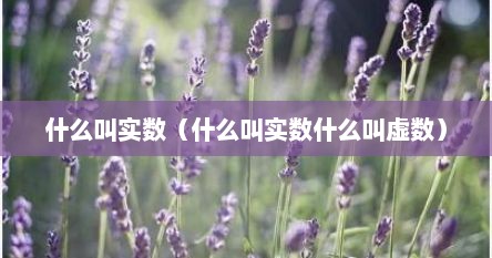 什么叫实数（什么叫实数什么叫虚数）