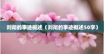 刘彻的事迹概述（刘彻的事迹概述50字）
