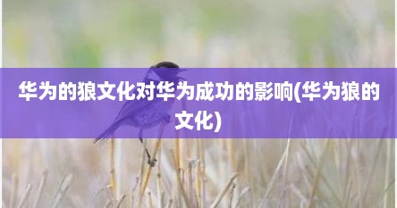 华为的狼文化对华为成功的影响(华为狼的文化)