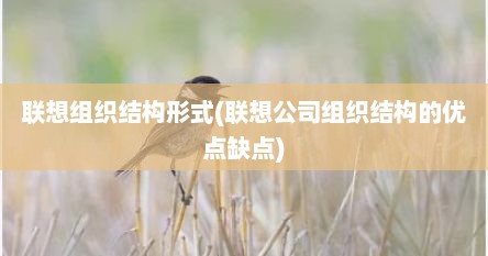 联想组织结构形式(联想公司组织结构的优点缺点)