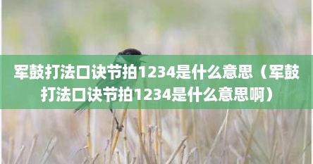 军鼓打法口诀节拍1234是什么意思（军鼓打法口诀节拍1234是什么意思啊）