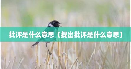 批评是什么意思（提出批评是什么意思）