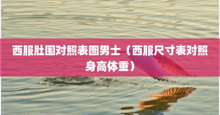 西服肚围对照表图男士（西服尺寸表对照身高体重）