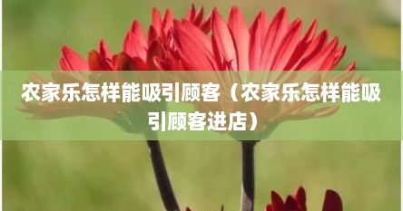 农家乐怎样能吸引顾客（农家乐怎样能吸引顾客进店）
