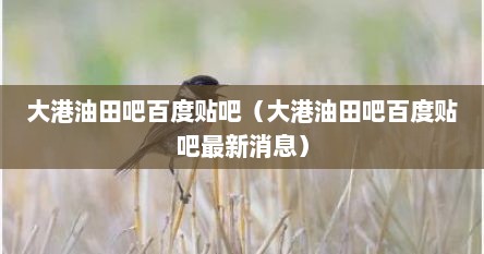 大港油田吧百度贴吧（大港油田吧百度贴吧最新消息）