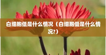 白细胞低是什么情况（白细胞低是什么情况?）