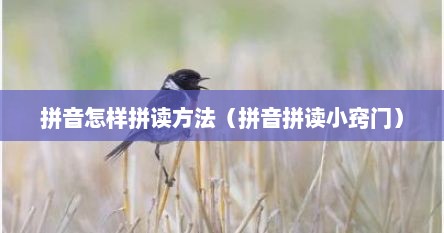 拼音怎样拼读方法（拼音拼读小窍门）