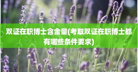 双证在职博士含金量(考取双证在职博士都有哪些条件要求)