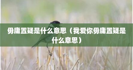 毋庸置疑是什么意思（我爱你毋庸置疑是什么意思）
