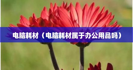 电脑耗材（电脑耗材属于办公用品吗）