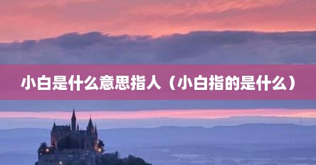 小白是什么意思指人（小白指的是什么）