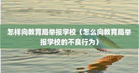 怎样向教育局举报学校（怎么向教育局举报学校的不良行为）