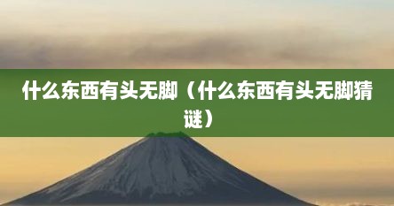 什么东西有头无脚（什么东西有头无脚猜谜）