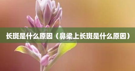长斑是什么原因（鼻梁上长斑是什么原因）