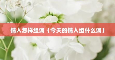 情人怎样组词（今天的情人组什么词）