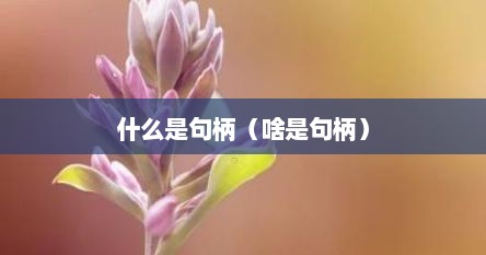 什么是句柄（啥是句柄）