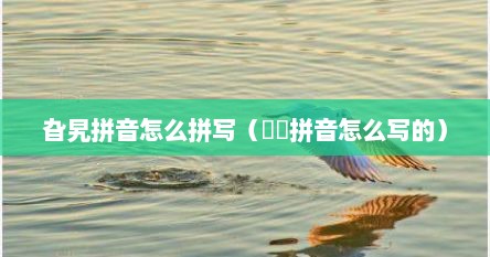 旮旯拼音怎么拼写（叆叇拼音怎么写的）