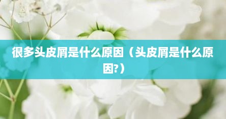 很多头皮屑是什么原因（头皮屑是什么原因?）