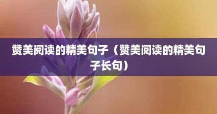 赞美阅读的精美句子（赞美阅读的精美句子长句）