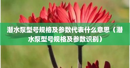 潜水泵型号规格及参数代表什么意思（潜水泵型号规格及参数识别）