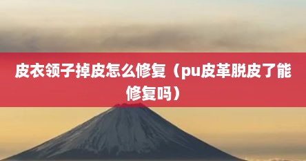 皮衣领子掉皮怎么修复（pu皮革脱皮了能修复吗）