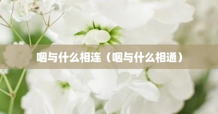 咽与什么相连（咽与什么相通）