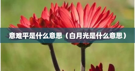 意难平是什么意思（白月光是什么意思）