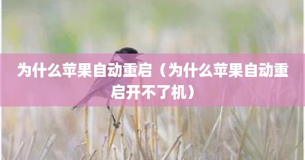 为什么苹果自动重启（为什么苹果自动重启开不了机）