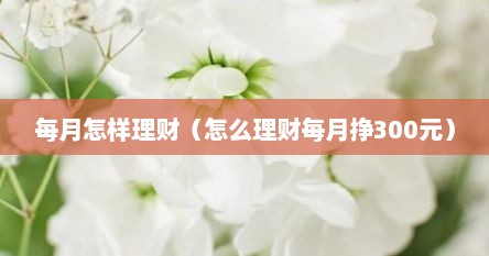 每月怎样理财（怎么理财每月挣300元）