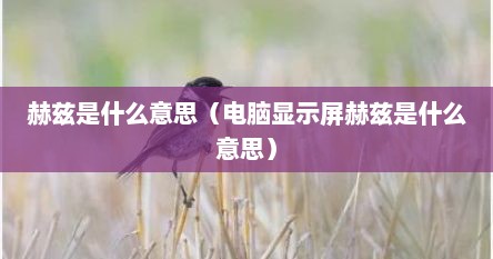 赫兹是什么意思（电脑显示屏赫兹是什么意思）