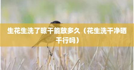 生花生洗了晾干能放多久（花生洗干净晒干行吗）