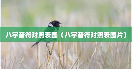 八字音符对照表图（八字音符对照表图片）