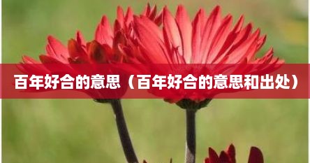 百年好合的意思（百年好合的意思和出处）