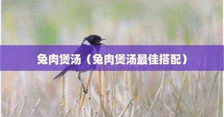 兔肉煲汤（兔肉煲汤最佳搭配）