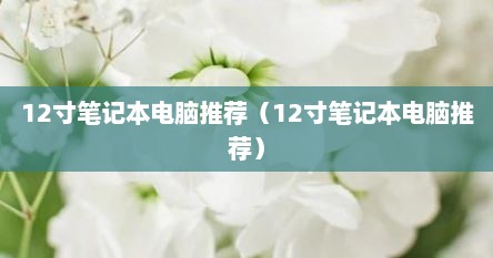 12寸笔记本电脑推荐（12寸笔记本电脑推荐）