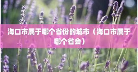 海口市属于哪个省份的城市(海口市属于哪个省会) 海口市属于哪个省份的城市(海口市属于哪个省会)