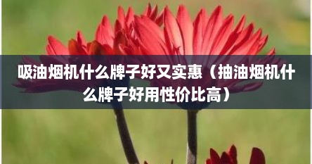 吸油烟机什么牌子好又实惠（抽油烟机什么牌子好用性价比高）