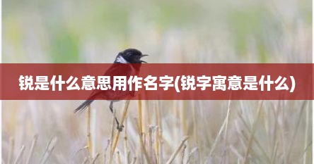 锐是什么意思用作名字(锐字寓意是什么)