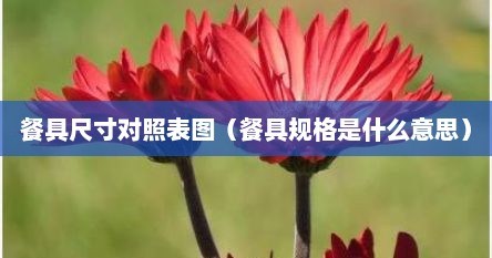 餐具尺寸对照表图（餐具规格是什么意思）