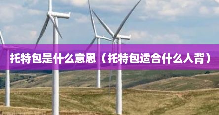托特包是什么意思（托特包适合什么人背）