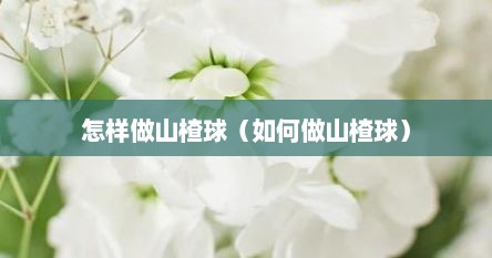 怎样做山楂球（如何做山楂球）